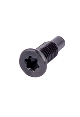 Screw, Electric Locking Hub Lock Ring (T20 Torx) 3 req. - 90149-50055