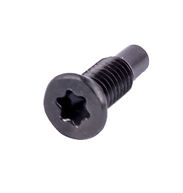 Screw, Electric Locking Hub Lock Ring (T20 Torx) 3 req. - 90149-50055