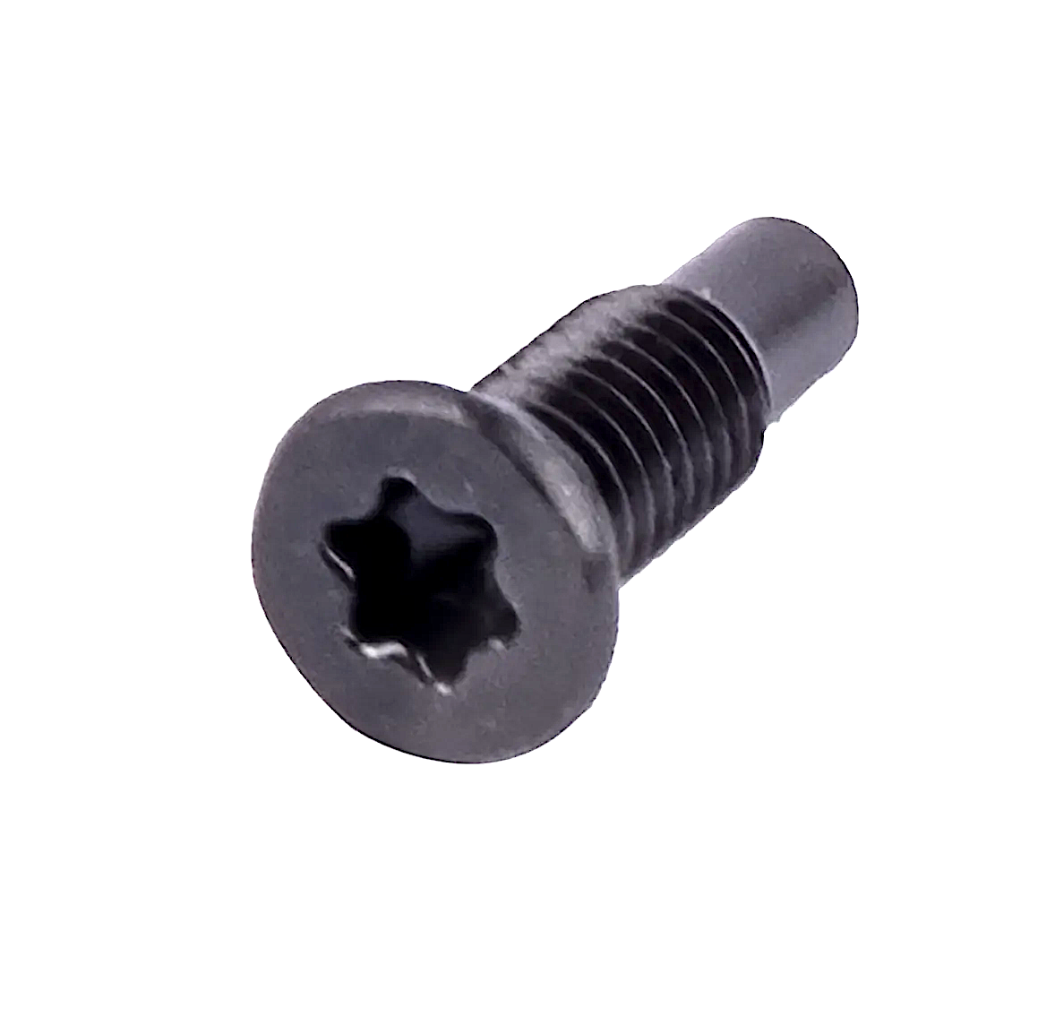 Screw, Electric Locking Hub Lock Ring (T20 Torx) 3 req. - 90149-50055