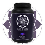 Lotus Lotus Pro Series Boost 18oz