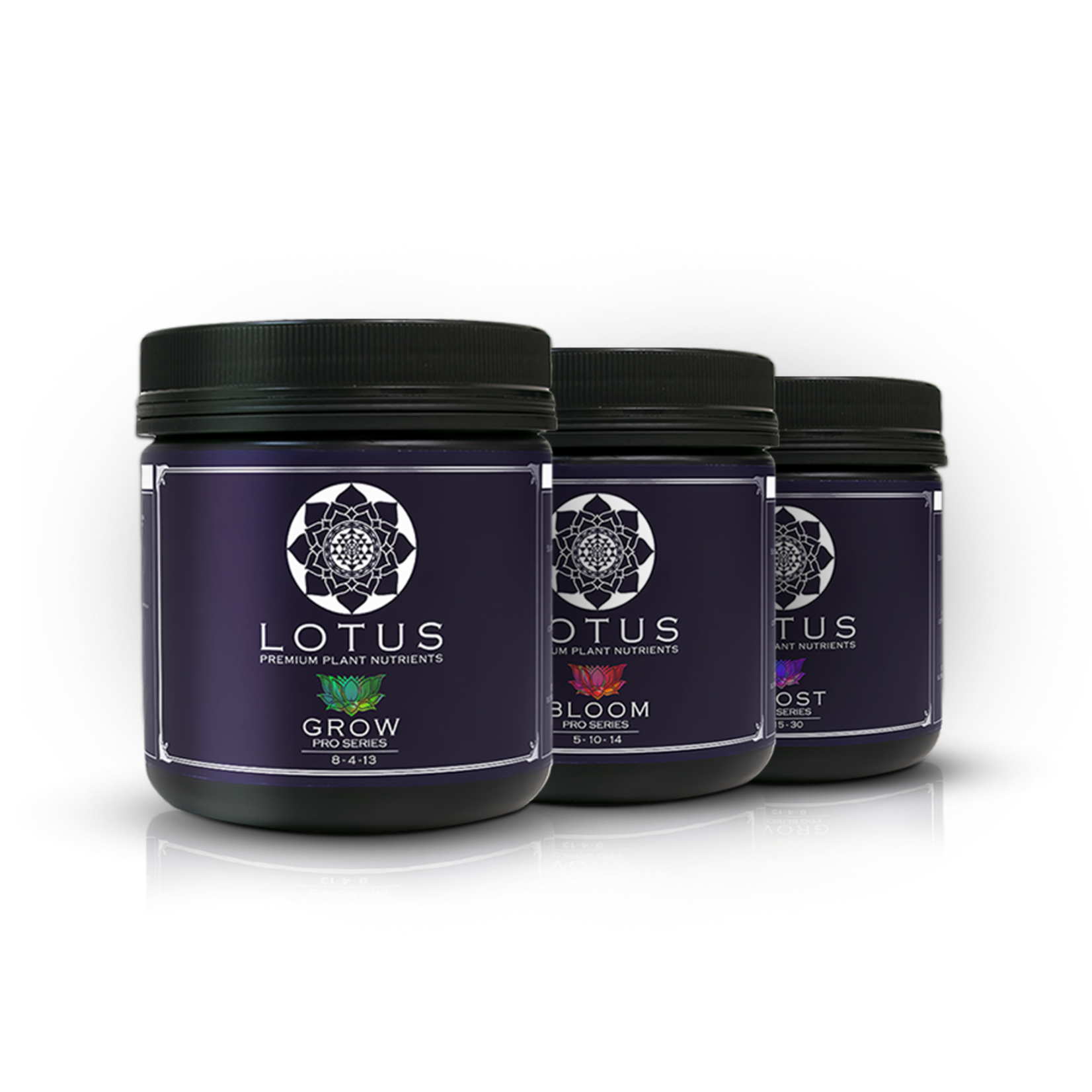 Lotus Lotus Pro series Starter Kit