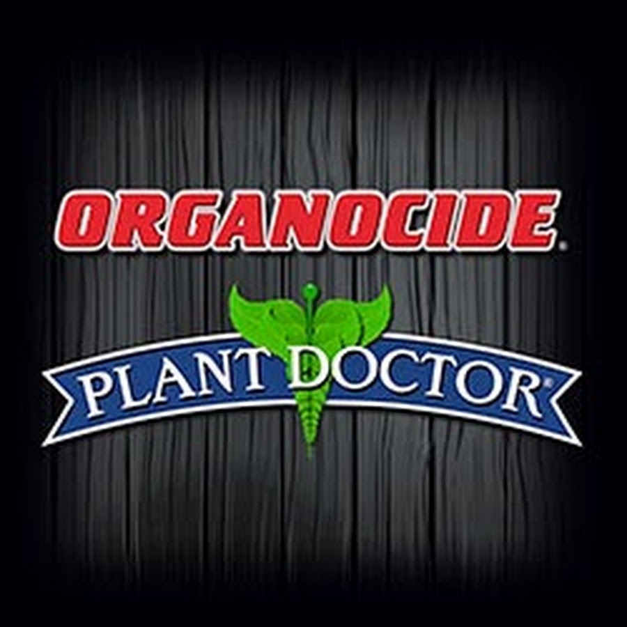 Plant Doctor - Plant health diagnosis - TAAFT