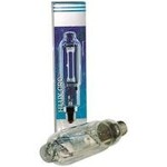 Ushio Ushio AMH 1000 Opti Blue