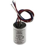 Hawthorne Replacement Ignitor CD 15 HPS 1000 (Imported)