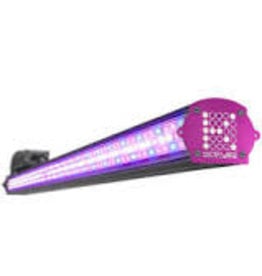 Kind LED Kind LED XD75 Intracanopy Flower Bar Light, 4