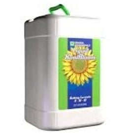 General Hydroponics GH Liquid KoolBloom 6 Gallon