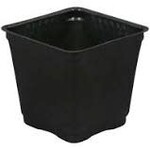 Gro Pro Gro Pro Square Plastic Pot Black 3.5 in