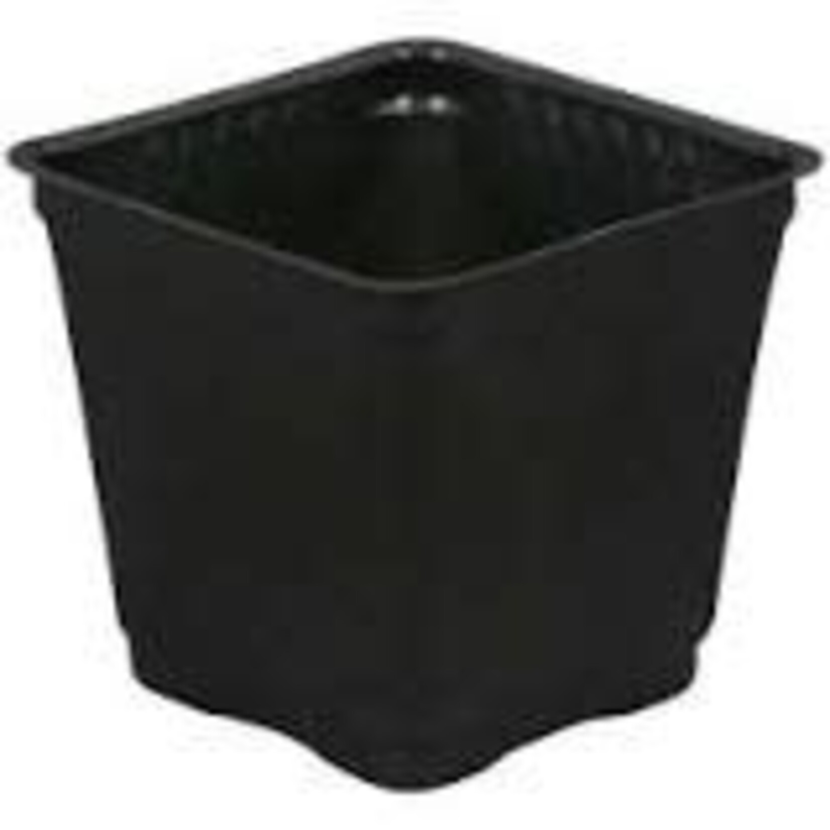 Gro Pro Gro Pro Square Plastic Pot Black 3.5 in
