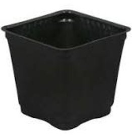 Gro Pro Gro Pro Square Plastic Pot Black 3.5 in