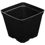 Gro Pro Gro Pro Black Plastic Pot 3.5 in x 3.5 in x 3 in