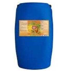 House & Garden House and Garden Bud XL 60 Liter