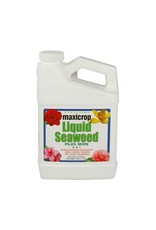 Maxicrop Maxicrop Liquid Seaweed Plus Iron, 1 qt