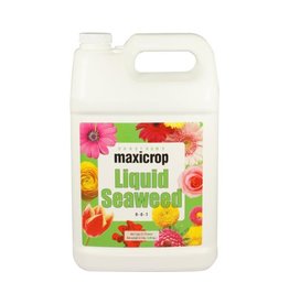 Maxicrop Maxicrop Liquid Seaweed, 1 gal