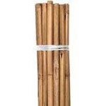 Growers Edge Grower's Edge Natural Bamboo 6 ft Bulk 50/Bag