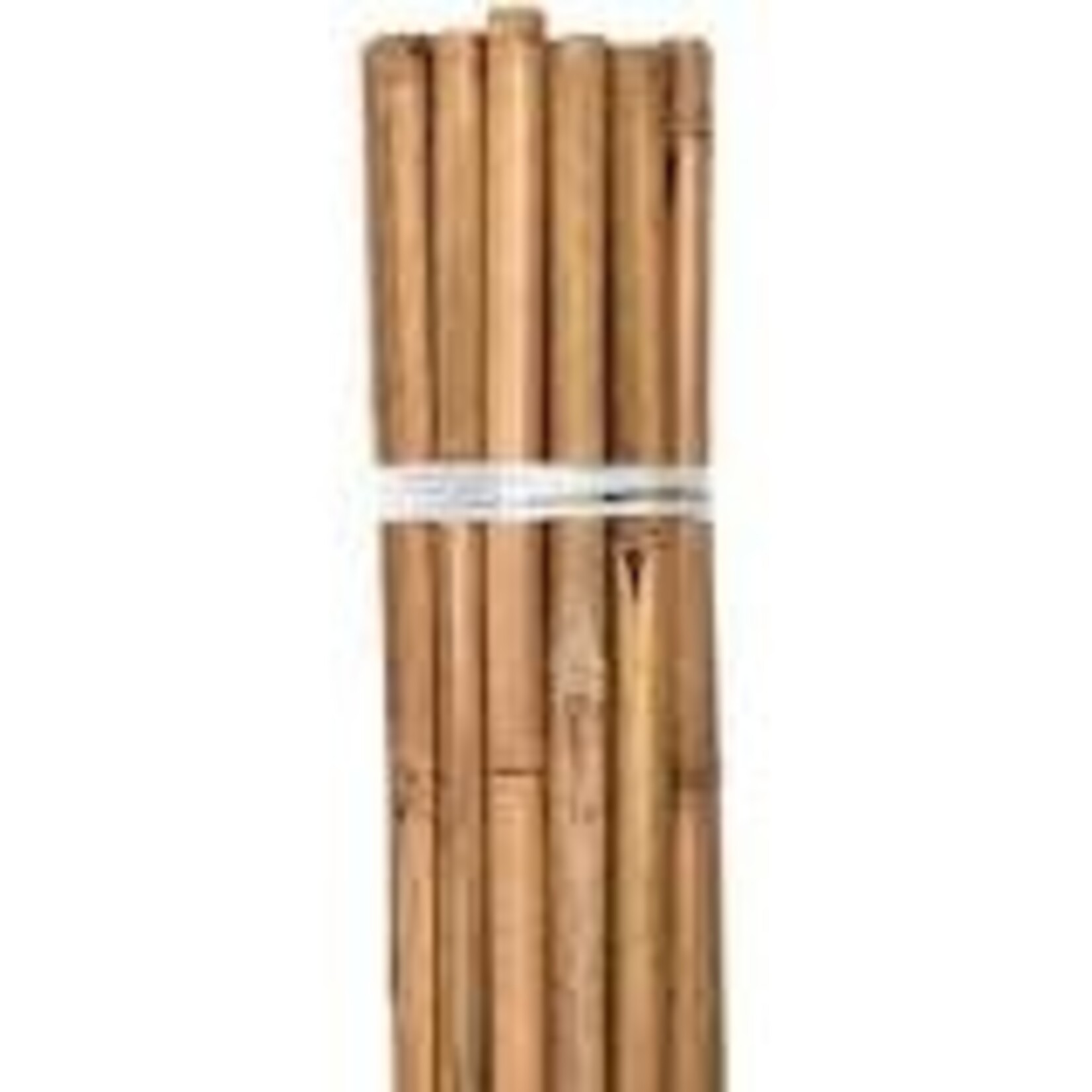 Growers Edge Grower's Edge Natural Bamboo 6 ft Bulk 50/Bag