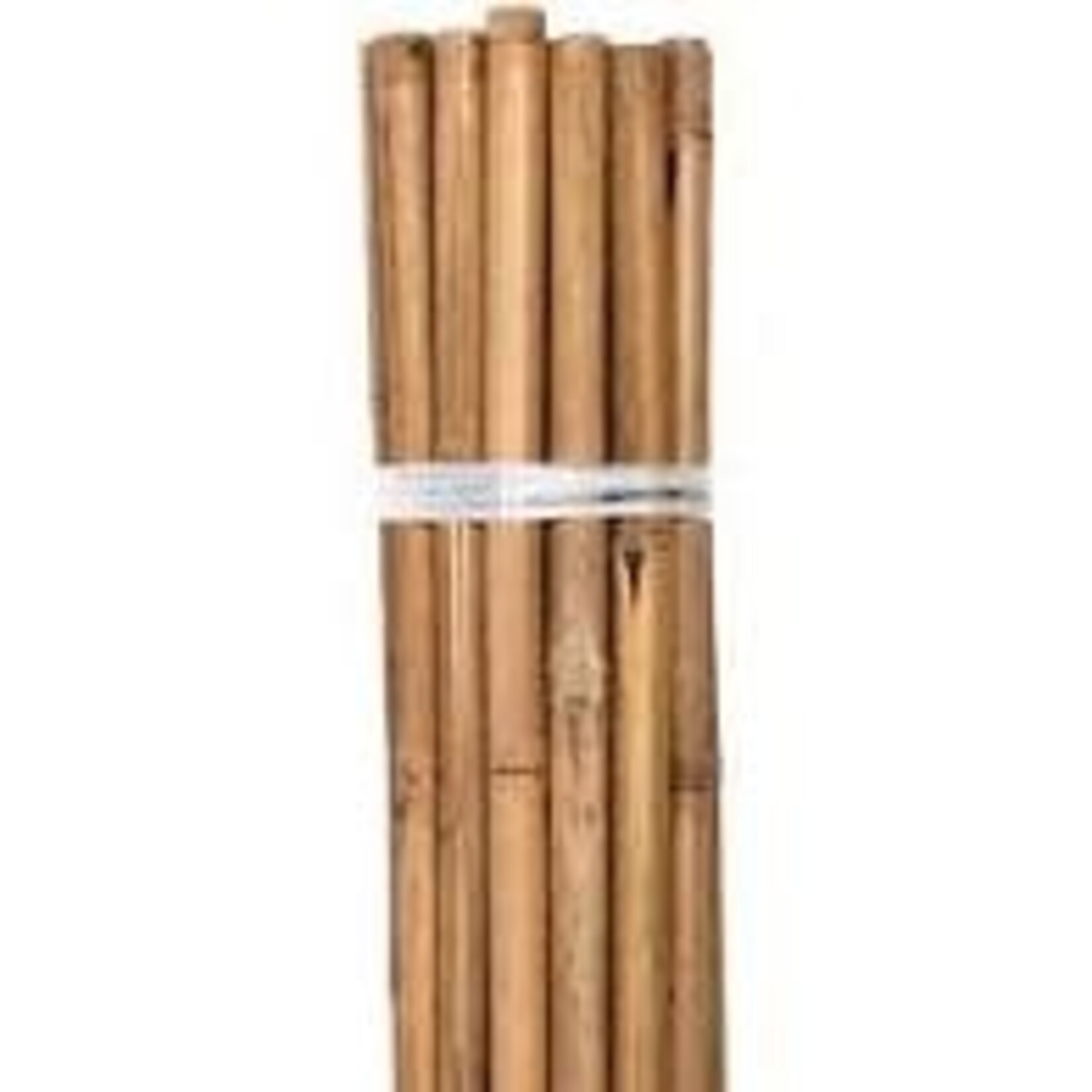 Growers Edge Grower's Edge Natural Bamboo 8 ft Bulk 50/Bag