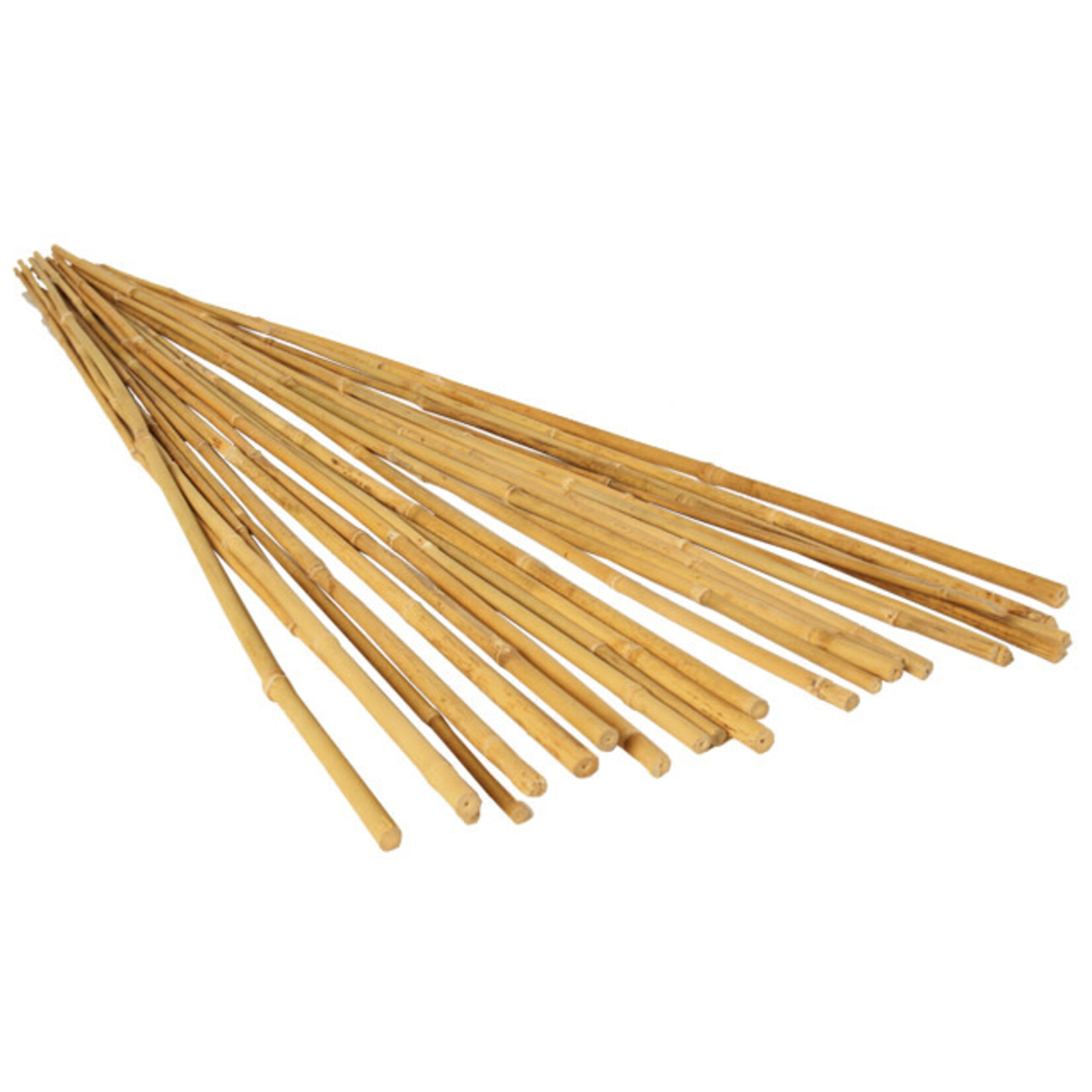 Grow!t GROW!T 3' Bamboo Stakes, Natural, pack of 25