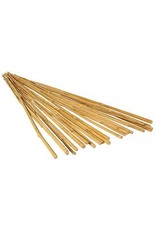 Grow!t GROW!T 4' Bamboo Stakes, Natural, pack of 25