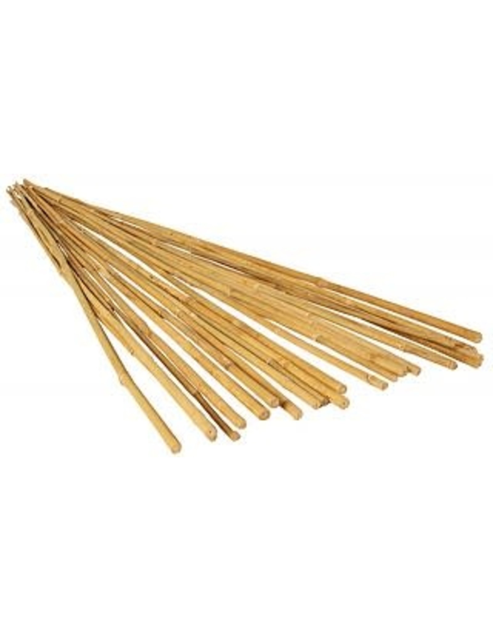 Grow!t GROW!T 4' Bamboo Stakes, Natural, pack of 25