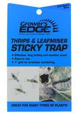 Growers Edge Growers Edge Blue sticky Traps for Thrips and Leaf Miners, 5 Pack