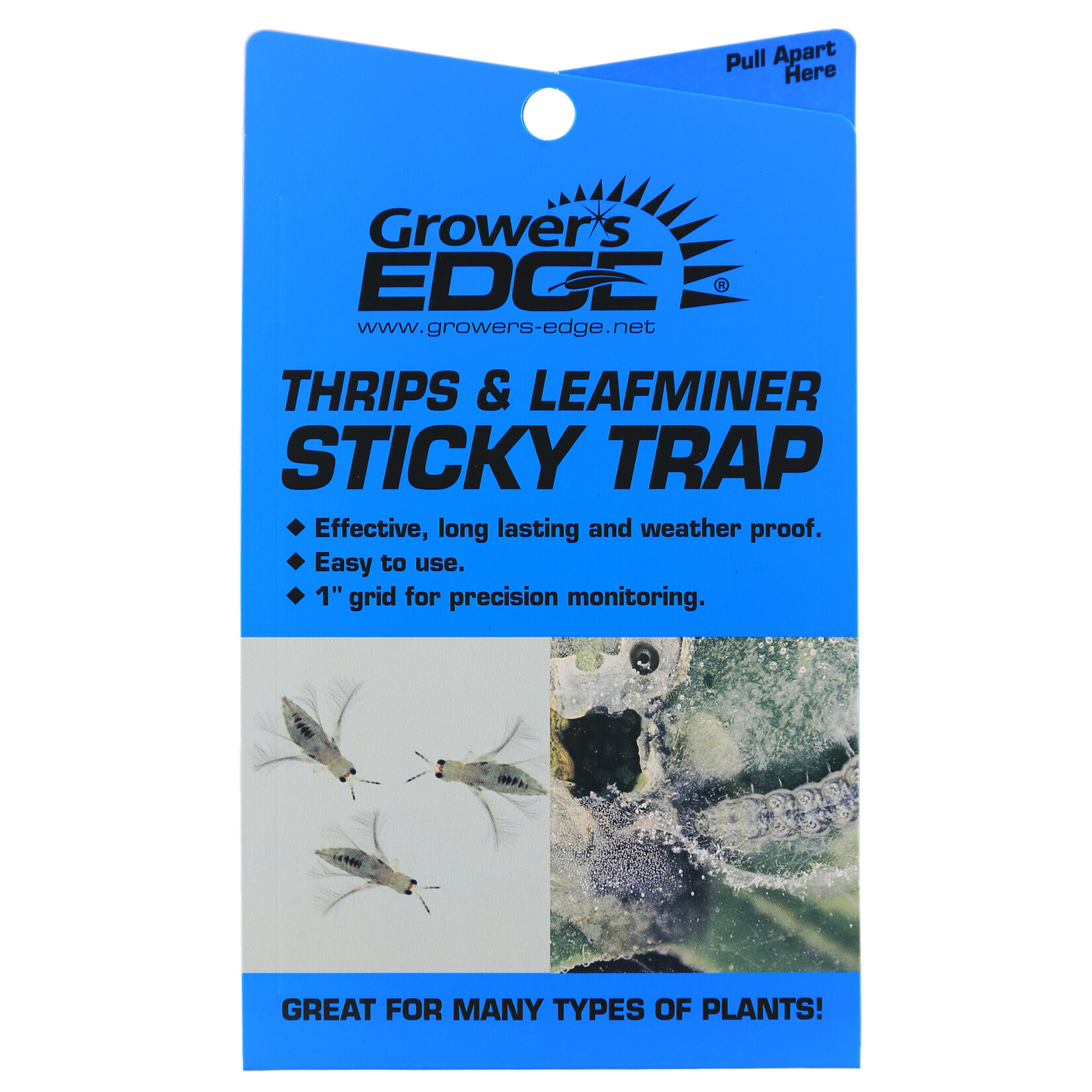 Growers Edge Growers Edge Blue sticky Traps for Thrips and Leaf Miners, 5 Pack
