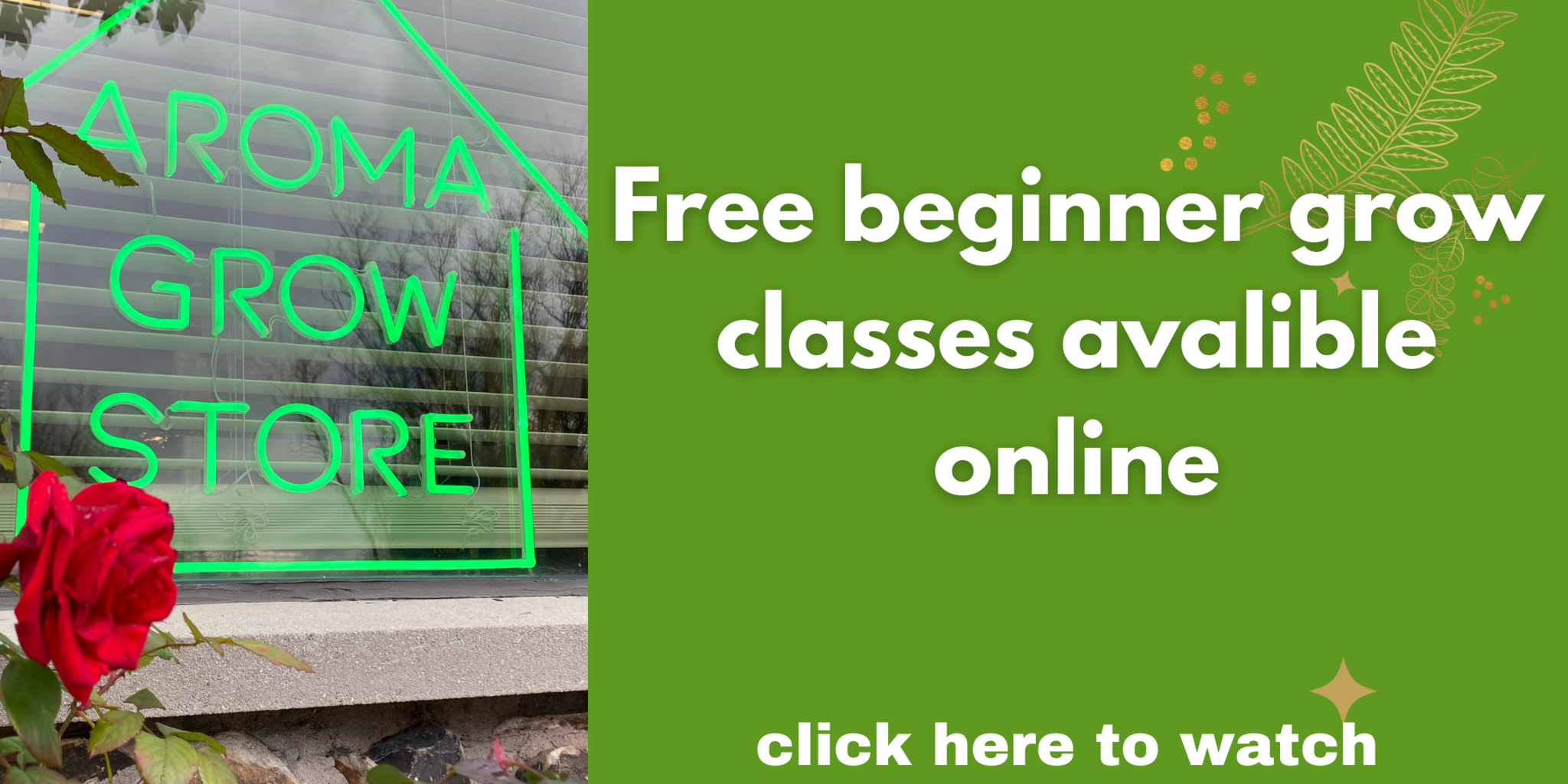 Free Online Classes