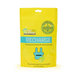 Real Growers Inc. Recharge 16oz