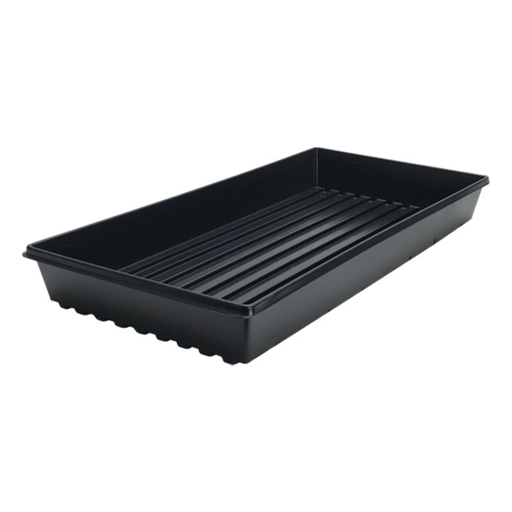 DL Wholesale 10''x 20'' Standard Tray w/o Drain Holes