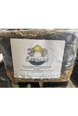 Booming Acres Booming Acres 6lb All in one mushroom growing bag with Coir and Vermiculite
