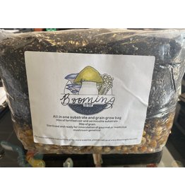 Booming Acres Booming Acres 6lb All in one mushroom growing bag with Coir and Vermiculite