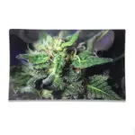 Smokerz Glass SMKZ              Blue Dream Glass Tray            810033151163