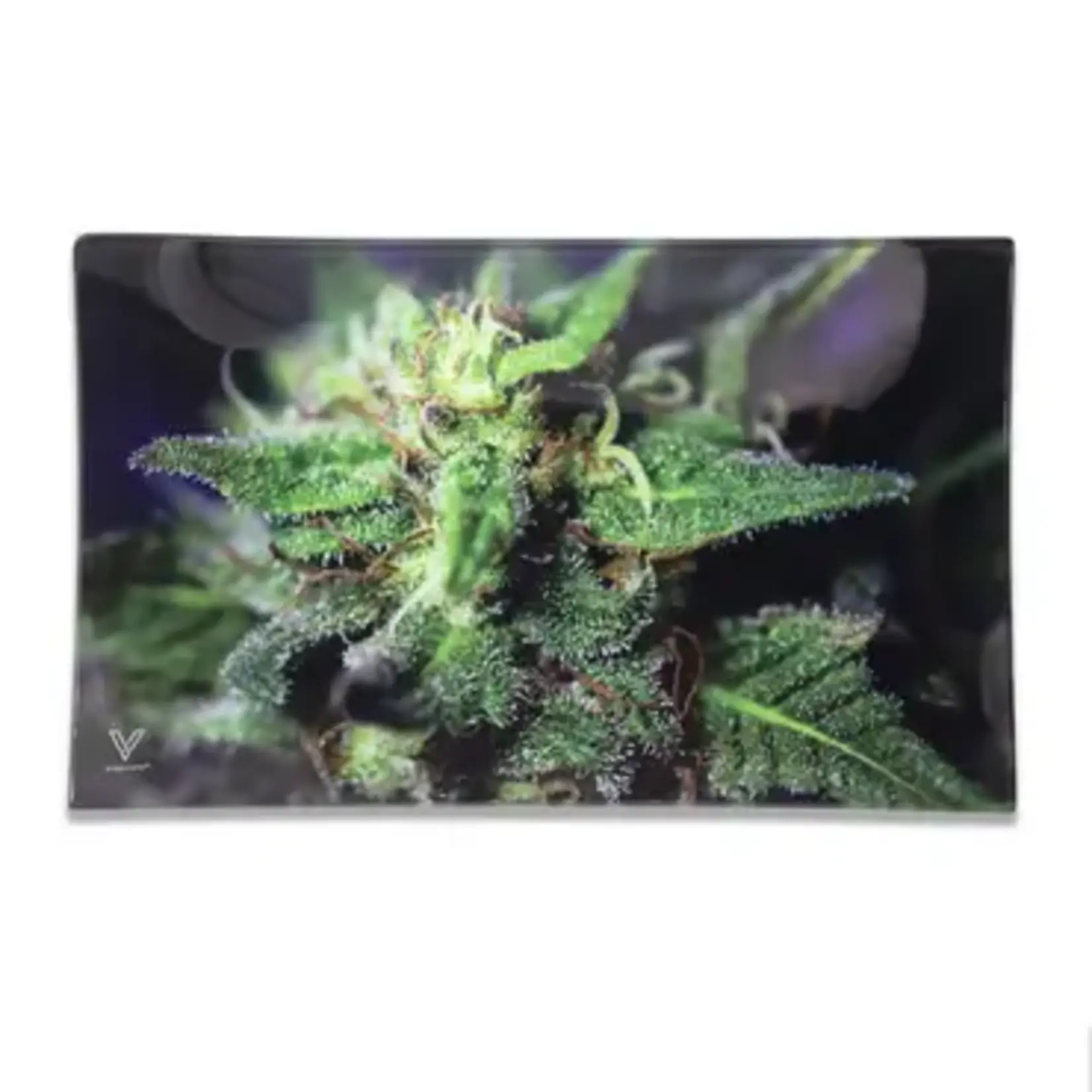 Smokerz Glass SMKZ              Blue Dream Glass Tray            810033151163