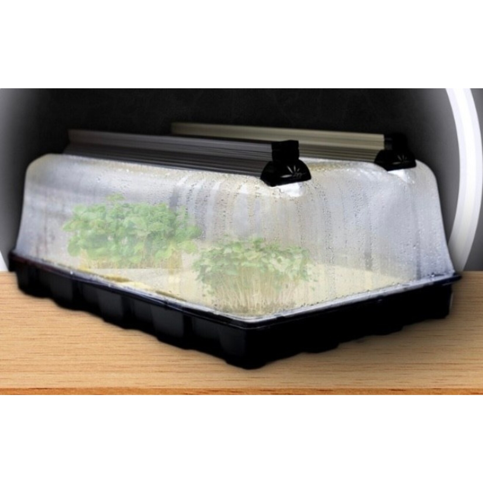 Legacy By Sunlife Microgreens Micro Greens Grow Kit with 2 18Watt Led Lights, Dome, Tray,  Pans and Cress Plates