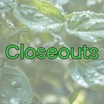 Closeouts