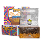Booming Acres Magical Booming Acres 5lb All in One Mushroom Growing Bag  in box Booming Acres Magical Booming Acres 5lb All in One Mushroom Growing Bag  in box