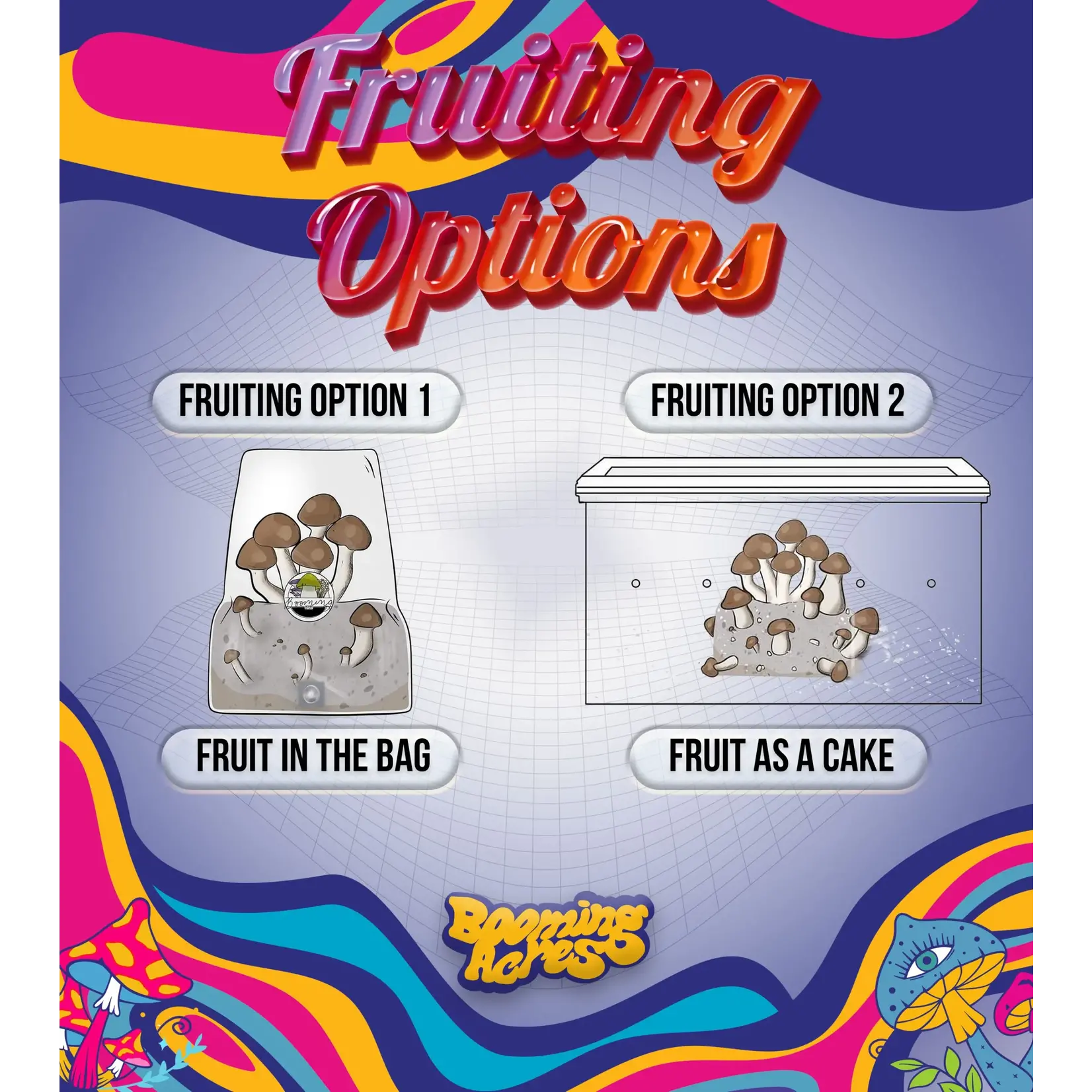 Booming Acres Magical Booming Acres 5lb All in One Mushroom Growing Bag  in box