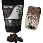 DAPLUG Sponge cubes 50 pk