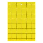 Grow 1 Grow 1 Yellow Sticky Card Traps Pest Monitor 3" x 5"    10 per pack