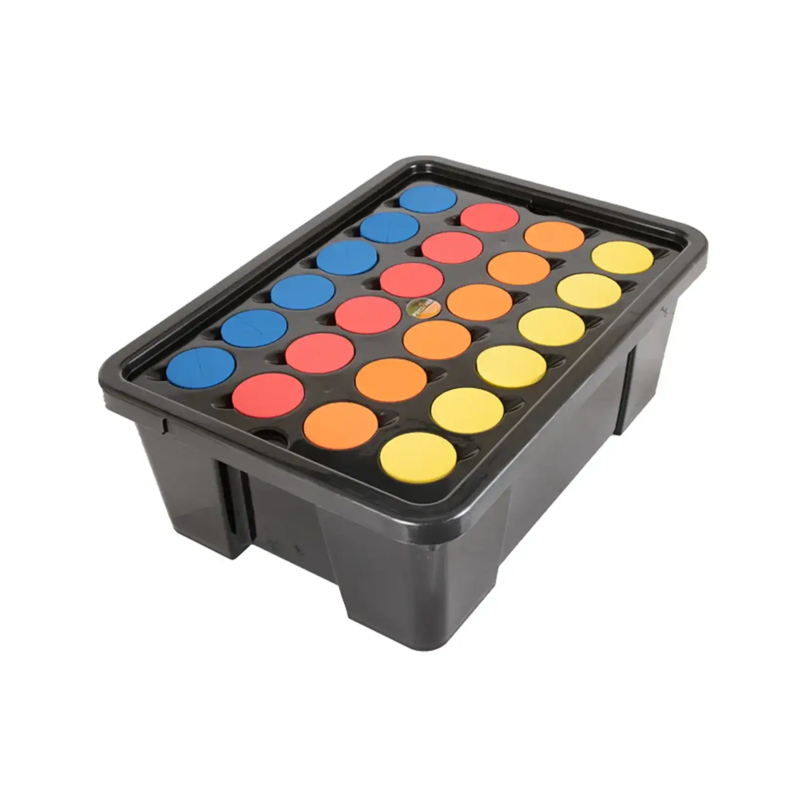 Psycloner 24 Site Cloning System Cloner