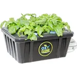 Hydrofarm OxyCLONE 20 Site Cloning System