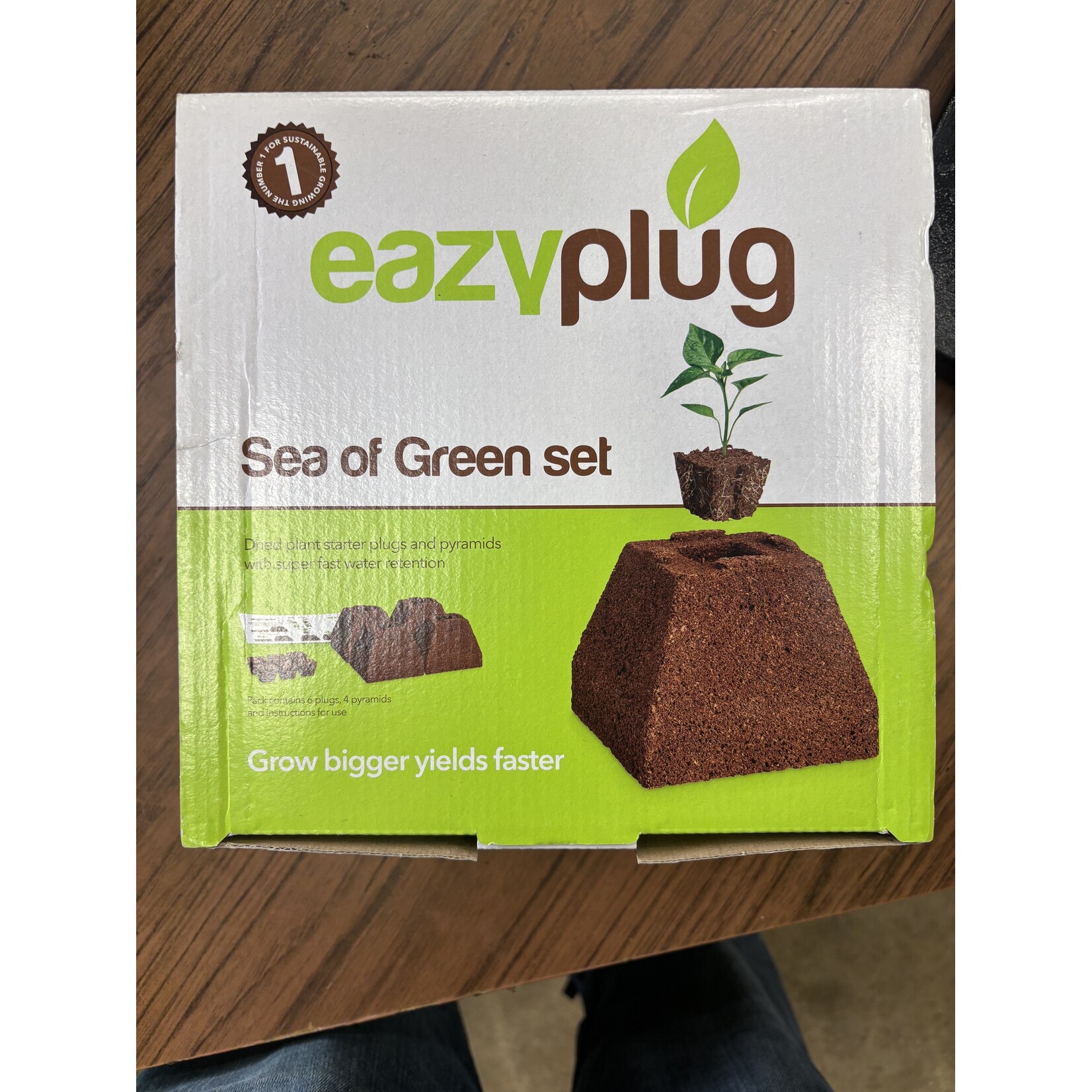 Easy Plug Eazy Plug Sea of Green Kit - 6 plugs 4 pyramids