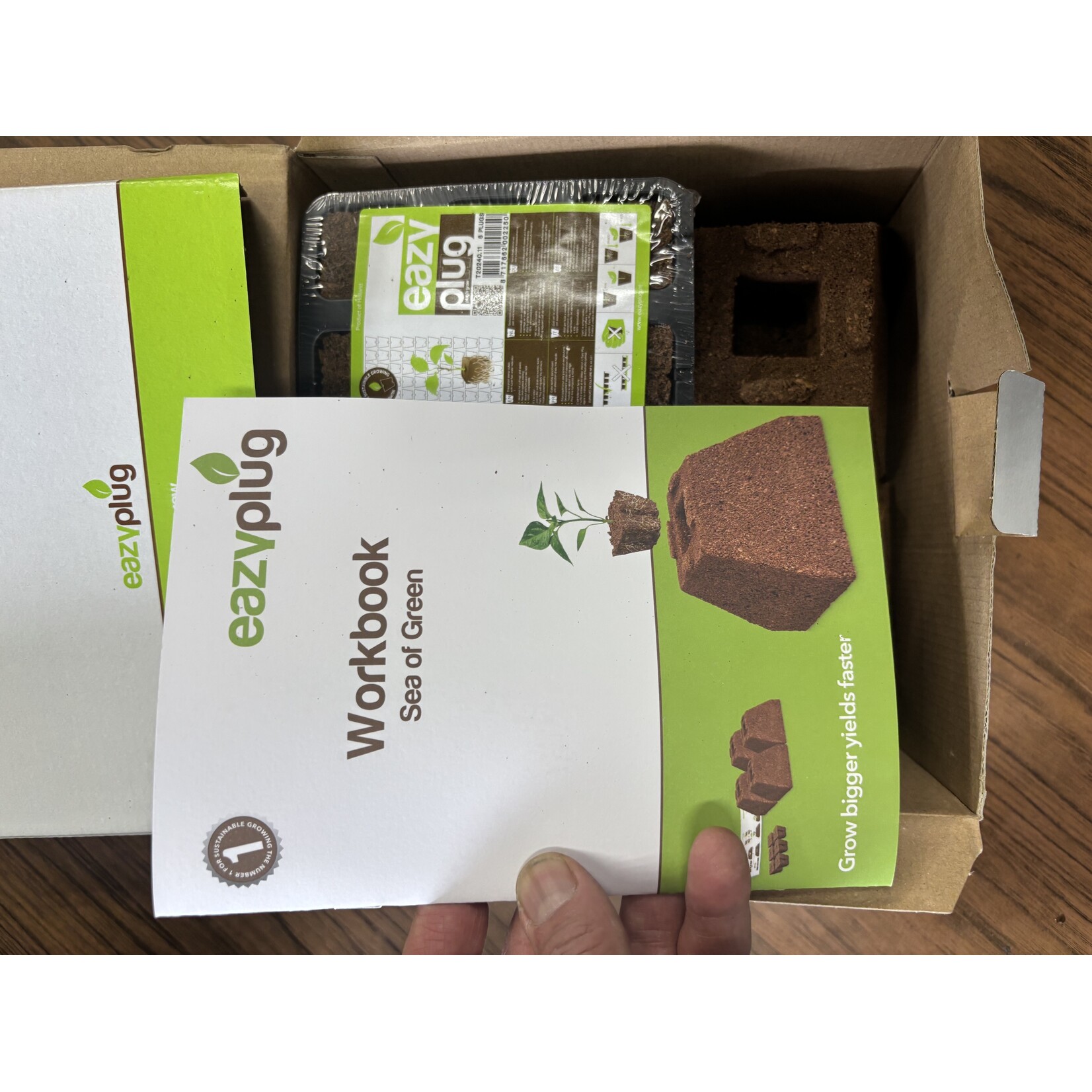 Easy Plug Eazy Plug Sea of Green Kit - 6 plugs 4 pyramids