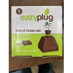 Easy Plug Eazy Plug Sea of Green Kit - 6 plugs 4 pyramids - Case of 10