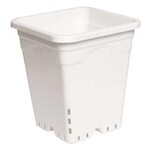 12" Square Pot White Hydrofarm