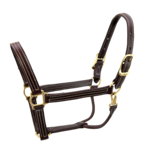 Walsh Company Walsh British Halter