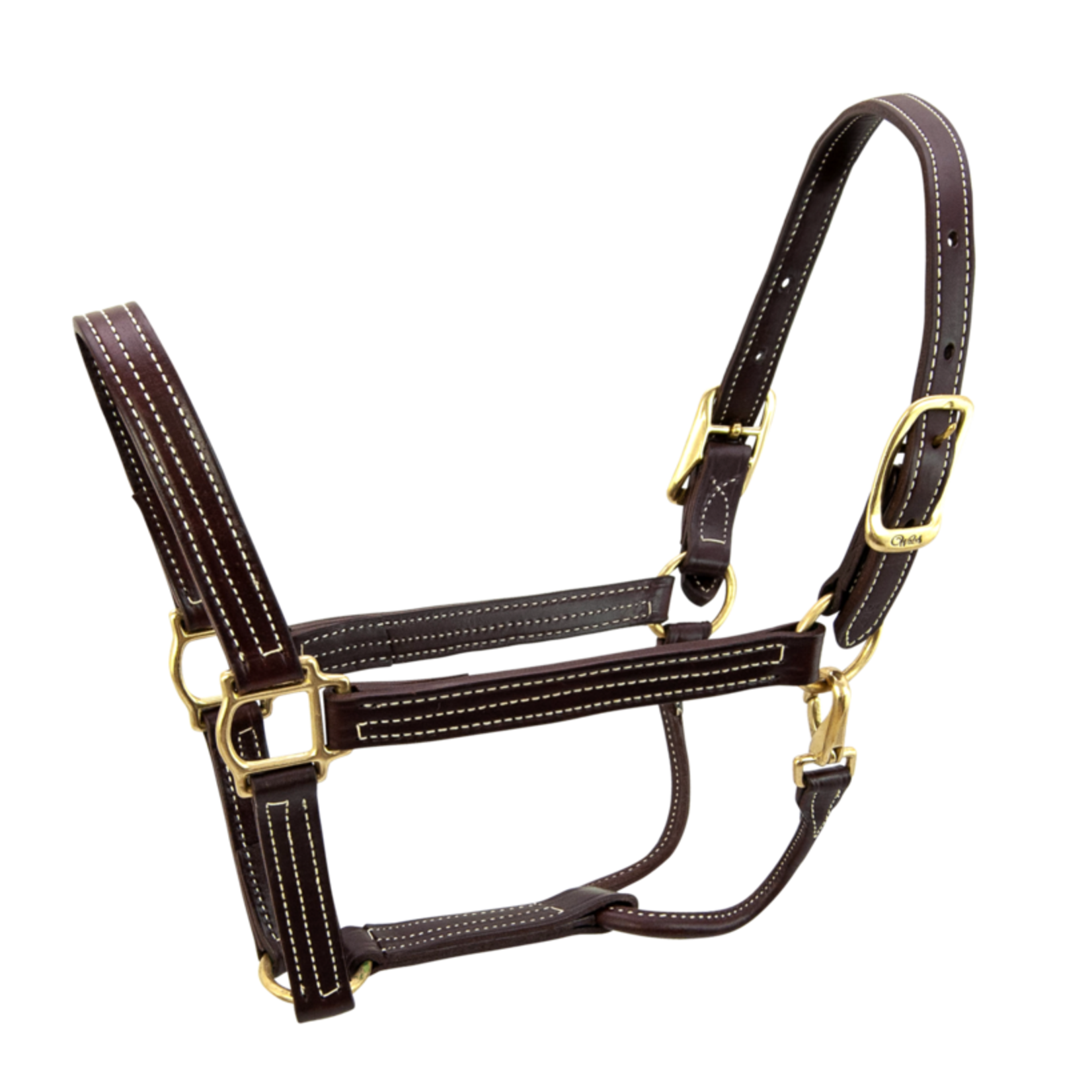 Walsh Company Walsh British Halter
