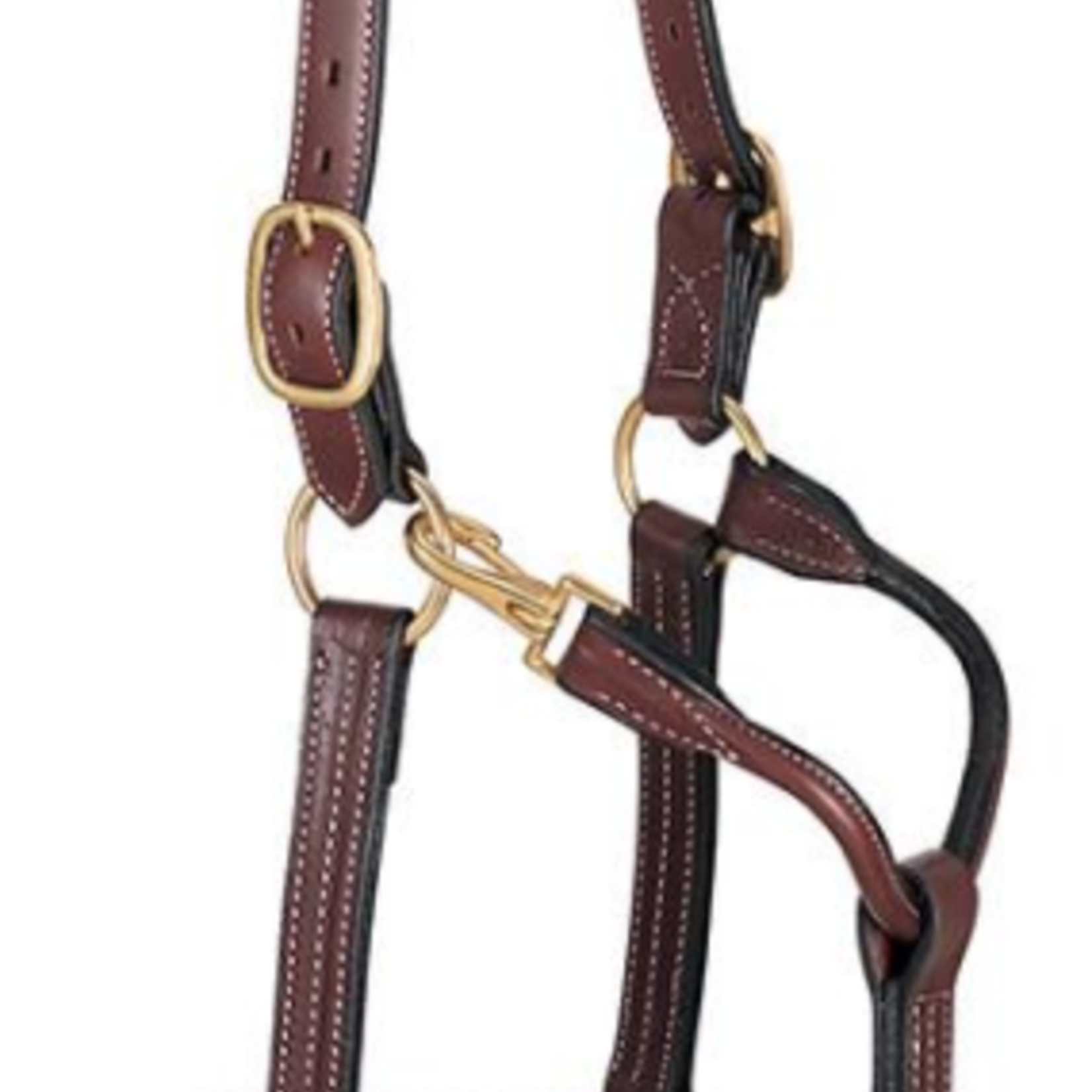 Walsh Company Walsh British Halter