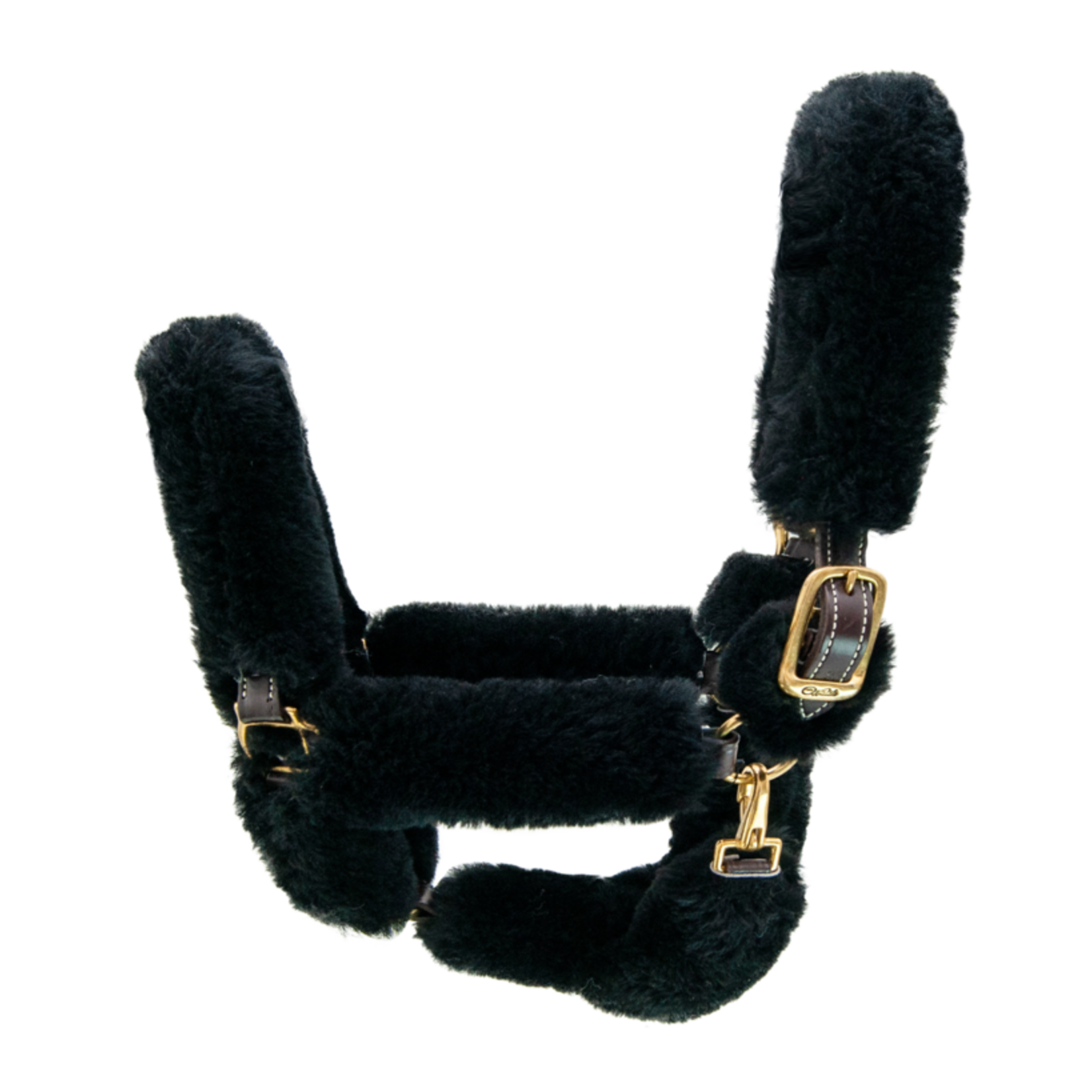 Walsh Company Walsh Shipping Halter