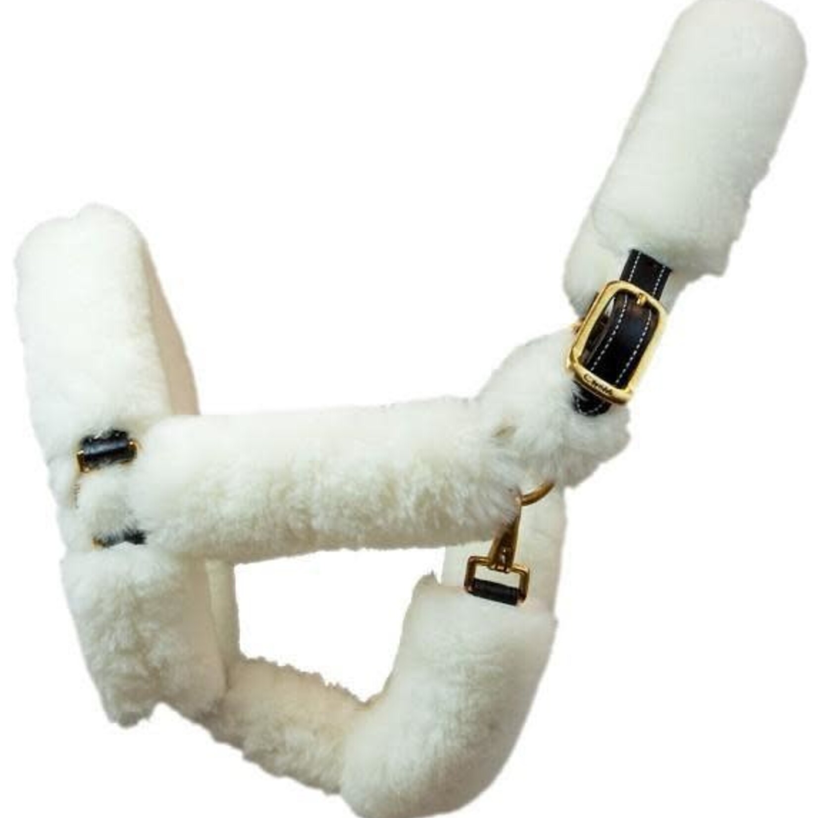 Walsh Company Walsh Shipping Halter