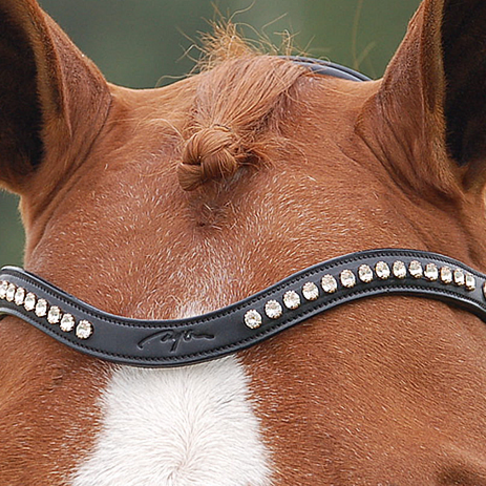 Dy'on NE02H Dy’on Half Swarovski V-shape Browband w/Dy’On Stamp